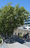 Туры в отель Altis Porto Hotel, member of Preferred Hotels & Resorts – L.V.X.