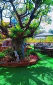 Туры в отель Khao Chi Chan Resort