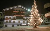 Туры в отель Best Western Hotel Nevada