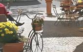 Туры в отель Hotel De La Poste Sierre
