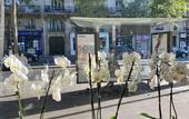 Туры в отель Hotel Studia