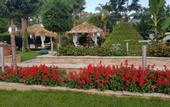 Туры в отель L`Ancora Beach