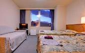 Туры в отель Plaza Hotel Mutsu