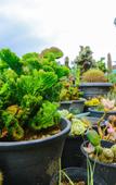 Туры в отель Ella Flower Garden Resort