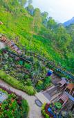 Туры в отель Ella Flower Garden Resort