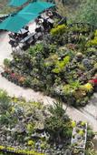 Туры в отель Ella Flower Garden Resort