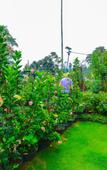 Туры в отель Ella Flower Garden Resort