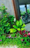 Туры в отель Ella Flower Garden Resort