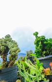 Туры в отель Ella Flower Garden Resort