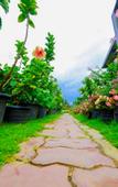 Туры в отель Ella Flower Garden Resort