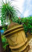Туры в отель Ella Flower Garden Resort