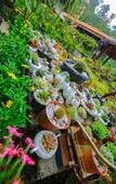 Туры в отель Ella Flower Garden Resort