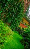 Туры в отель Ella Flower Garden Resort