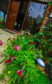 Туры в отель Ella Flower Garden Resort