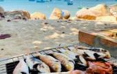 Туры в отель CHILL HOUSE by the beach