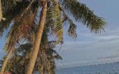Туры в отель CHILL HOUSE by the beach