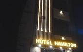 Туры в отель Hotel Hamilton