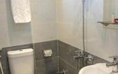 Туры в отель Regency inn