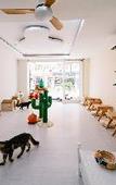 Туры в отель Catnip Seaside Hotel & Cafe