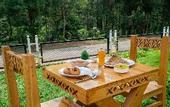 Туры в отель Treebo Sky Vista Suites With Hill View
