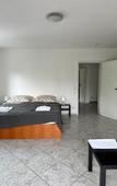 Туры в отель Pension Seckbach