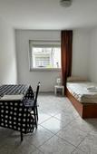 Туры в отель Pension Seckbach