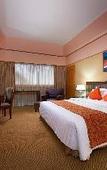 Туры в отель Hotel IVY