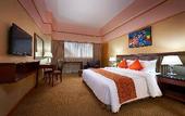 Туры в отель Hotel IVY