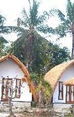 Туры в отель Lempeh Jungle Cottage & Restaurant