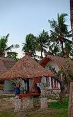 Туры в отель Lempeh Jungle Cottage & Restaurant