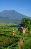 Туры в отель Gladak di uma bali