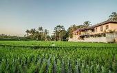 Туры в отель Villa Tanah Carik by Mahaputra