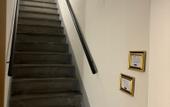 Туры в отель Hotel Zanobi 45