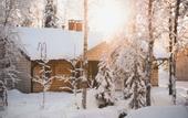 Туры в отель Vaattunki Wilderness Resort