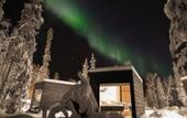 Туры в отель Vaattunki Wilderness Resort