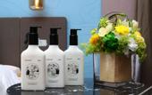 Туры в отель Country Inn by Radisson
