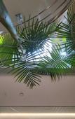 Туры в отель Plaza Hostel Rooms