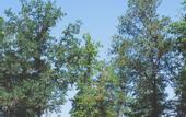 Туры в отель Le Cattedrali Relais by Laqua Collection