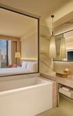 Туры в отель Hilton Gurugram Baani City Centre
