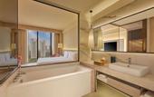 Туры в отель Hilton Gurugram Baani City Centre