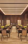 Туры в отель Hilton Gurugram Baani City Centre