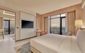 Туры в отель Hilton Gurugram Baani City Centre