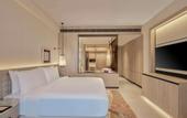 Туры в отель Hilton Gurugram Baani City Centre