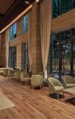 Туры в отель Hilton Gurugram Baani City Centre