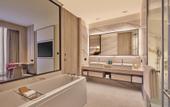 Туры в отель Hilton Gurugram Baani City Centre