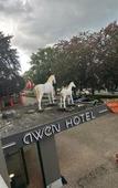 Туры в отель Awen Hotel Vechta