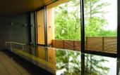 Туры в отель Karuizawa Prince Hotel East