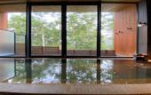 Туры в отель Karuizawa Prince Hotel East