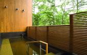 Туры в отель Karuizawa Prince Hotel East