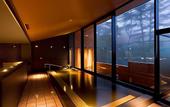 Туры в отель Karuizawa Prince Hotel East